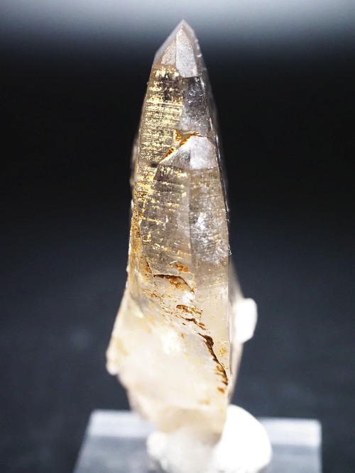 �^�r�[�^�X���[�L�[�N�H�[�c�X�C�X�A���v�X�����P���� 72mm 62g (37-91)