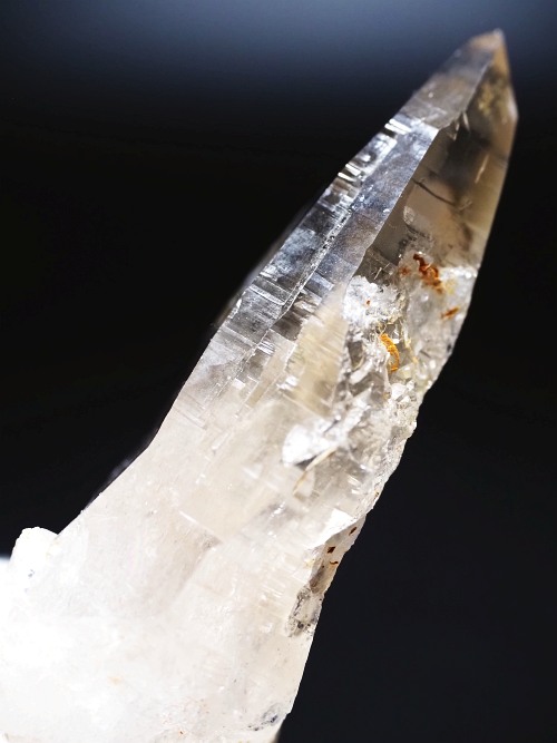 �^�r�[�^�X���[�L�[�N�H�[�c�X�C�X�A���v�X�����P���� 72mm 62g (37-91)