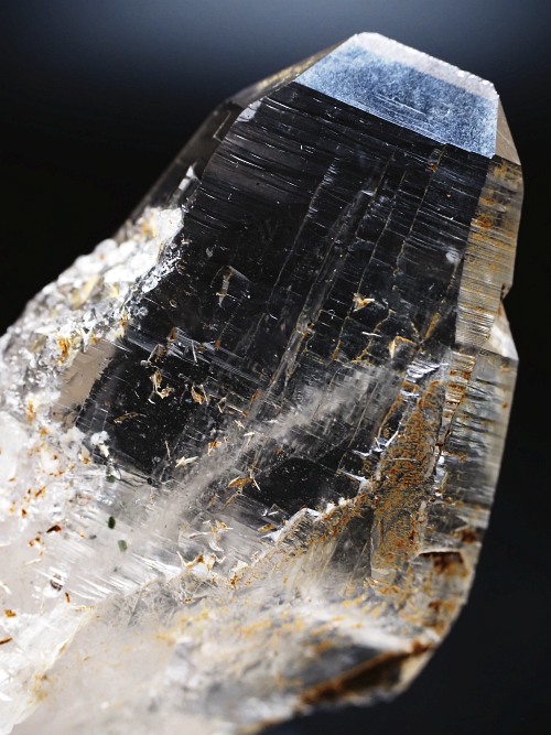 �^�r�[�^�X���[�L�[�N�H�[�c�X�C�X�A���v�X�����P���� 72mm 62g (37-91)