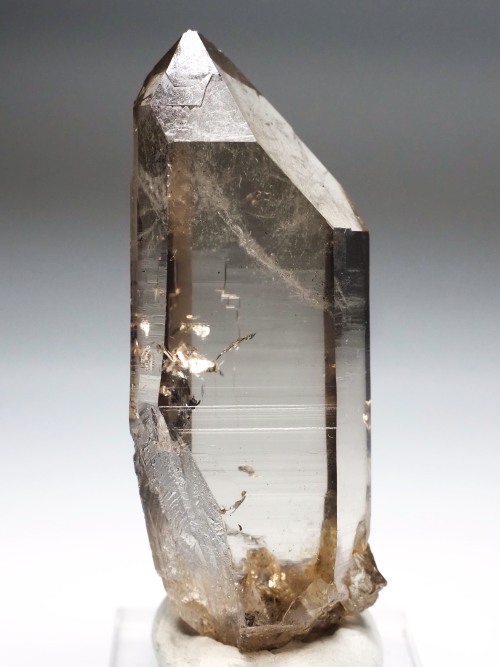 �X���[�L�[�N�H�[�c�X�C�X�A���v�X�����P���� 75mm 64g (37-90)