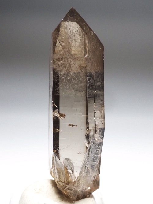 �X���[�L�[�N�H�[�c�X�C�X�A���v�X�����P���� 75mm 64g (37-90)