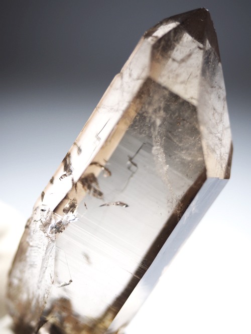 �X���[�L�[�N�H�[�c�X�C�X�A���v�X�����P���� 75mm 64g (37-90)