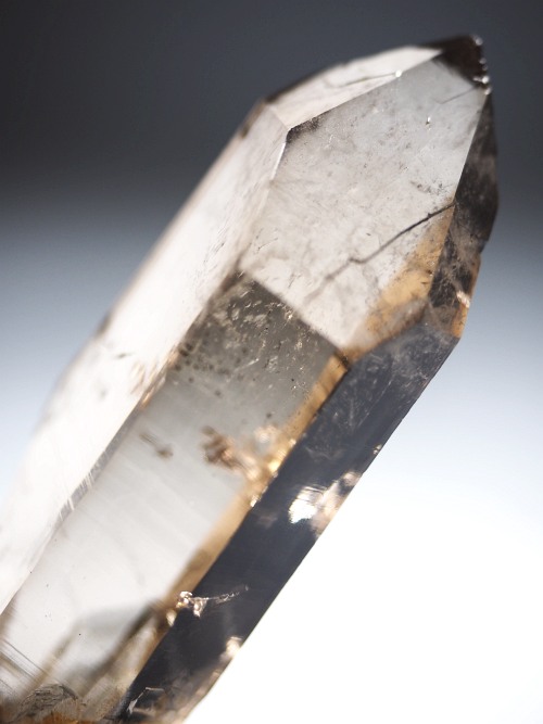 �X���[�L�[�N�H�[�c�X�C�X�A���v�X�����P���� 75mm 64g (37-90)