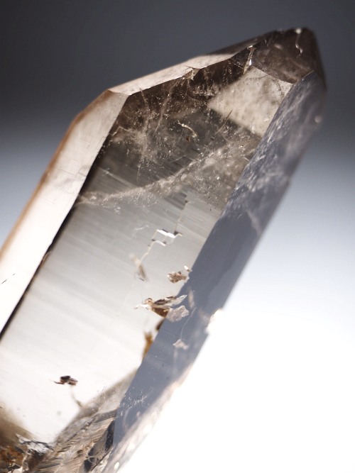 �X���[�L�[�N�H�[�c�X�C�X�A���v�X�����P���� 75mm 64g (37-90)