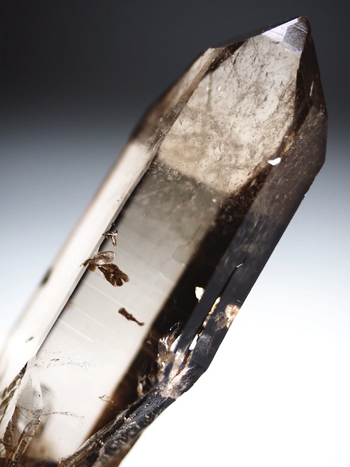 �X���[�L�[�N�H�[�c�X�C�X�A���v�X�����P���� 75mm 64g (37-90)