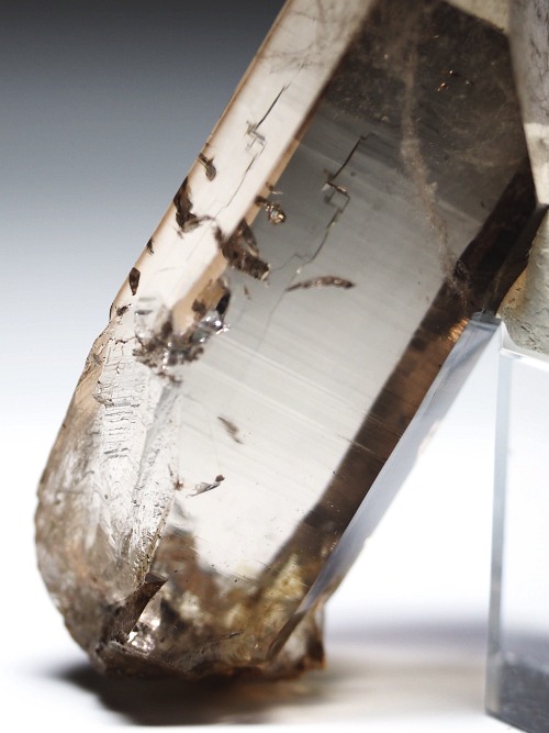 �X���[�L�[�N�H�[�c�X�C�X�A���v�X�����P���� 75mm 64g (37-90)