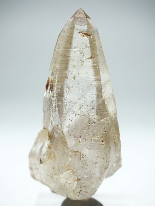 ebVnrbgXCXAvXP 76mm 66g (35-7)