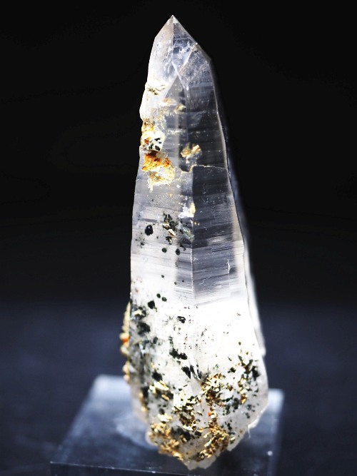 �w�}�^�C�gin�e�b�V���n�r�b�g�X�C�X�A���v�X�����P���� 81mm 68g (36-8)