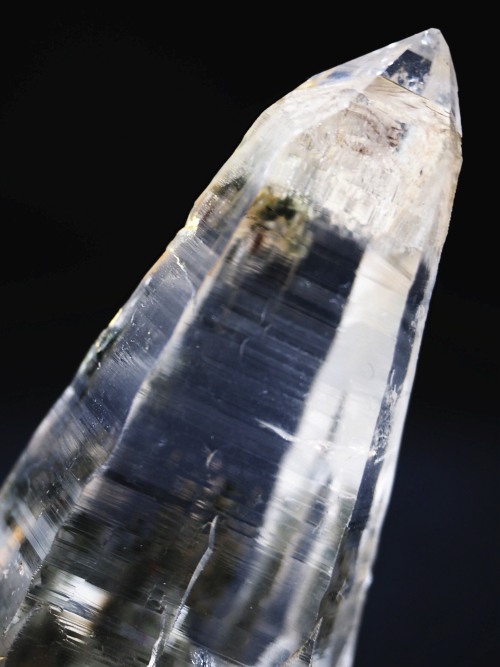 �w�}�^�C�gin�e�b�V���n�r�b�g�X�C�X�A���v�X�����P���� 81mm 68g (36-8)