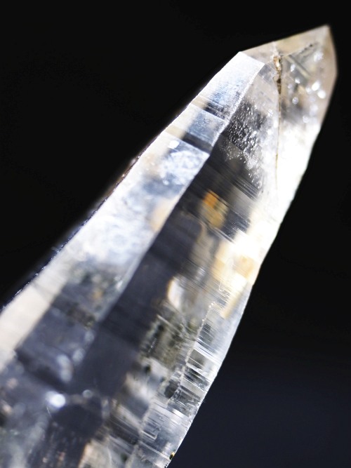 �w�}�^�C�gin�e�b�V���n�r�b�g�X�C�X�A���v�X�����P���� 81mm 68g (36-8)