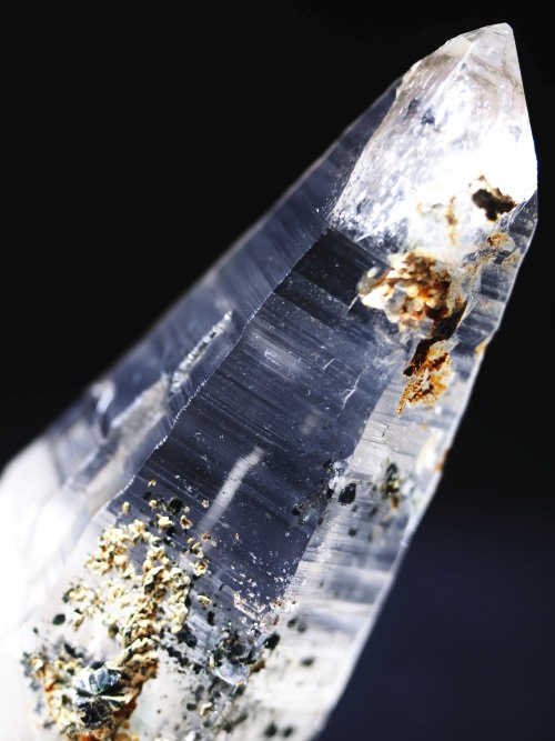 �w�}�^�C�gin�e�b�V���n�r�b�g�X�C�X�A���v�X�����P���� 81mm 68g (36-8)