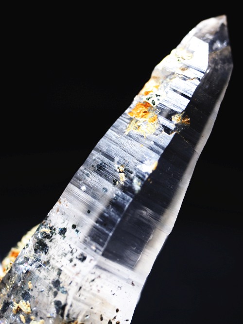 �w�}�^�C�gin�e�b�V���n�r�b�g�X�C�X�A���v�X�����P���� 81mm 68g (36-8)