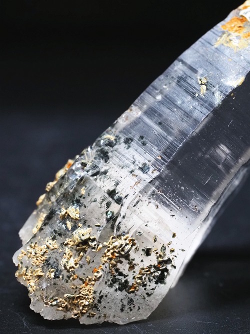 �w�}�^�C�gin�e�b�V���n�r�b�g�X�C�X�A���v�X�����P���� 81mm 68g (36-8)