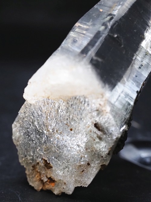 �w�}�^�C�gin�e�b�V���n�r�b�g�X�C�X�A���v�X�����P���� 81mm 68g (36-8)