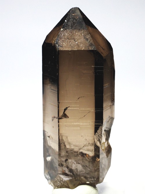 �X�C�X�A���v�X���� �X���[�L�[�N�H�[�c�P���� 72mm 68g (20-16)