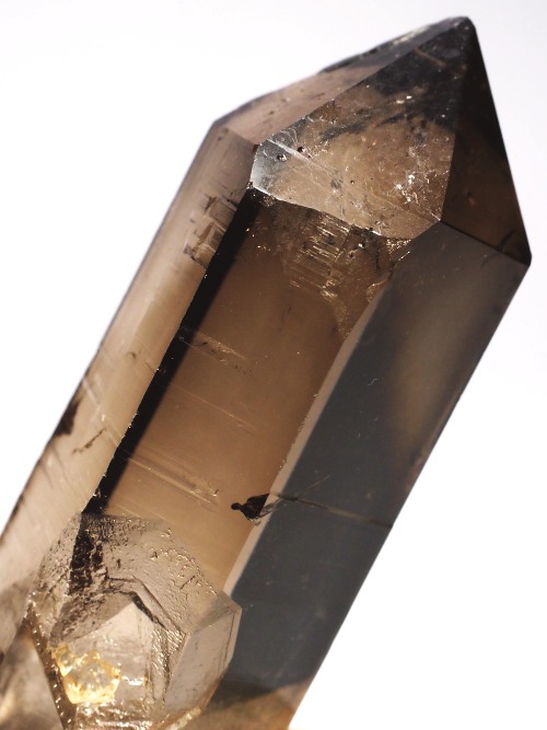 �X�C�X�A���v�X���� �X���[�L�[�N�H�[�c�P���� 72mm 68g (20-16)