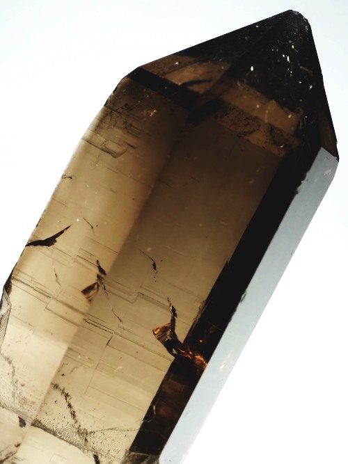 �X�C�X�A���v�X���� �X���[�L�[�N�H�[�c�P���� 72mm 68g (20-16)