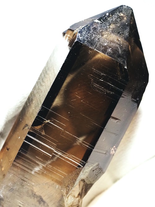 �X�C�X�A���v�X���� �X���[�L�[�N�H�[�c�P���� 72mm 68g (20-16)