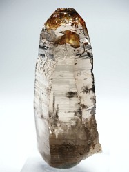 ebVnrbg<br>XCXAvXP<br> 71mm 70g (36-24)