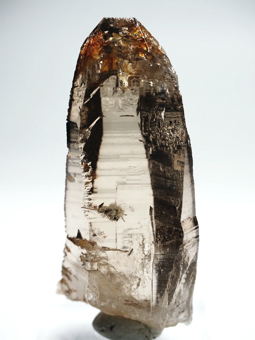 ebVnrbgXCXAvXP 71mm 70g (36-24)