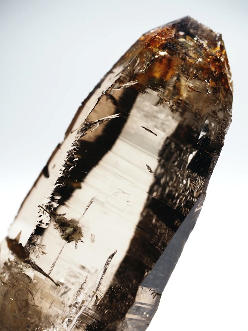 ebVnrbgXCXAvXP 71mm 70g (36-24)