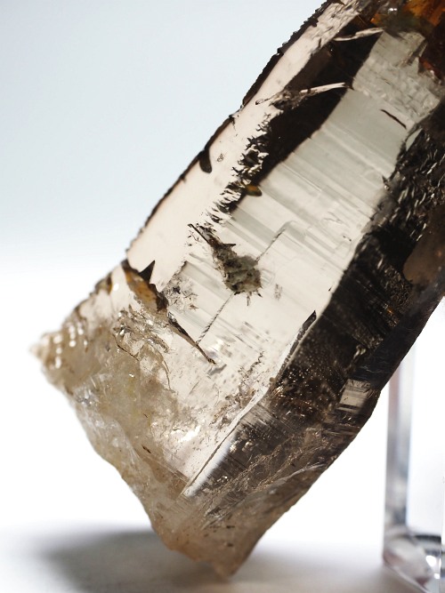 ebVnrbgXCXAvXP 71mm 70g (36-24)