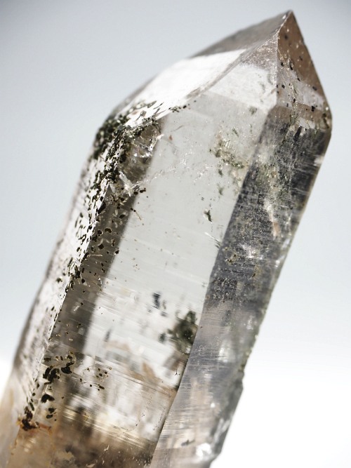 N[CginNH[cXCXAvXP 77mm 73g (30-37)