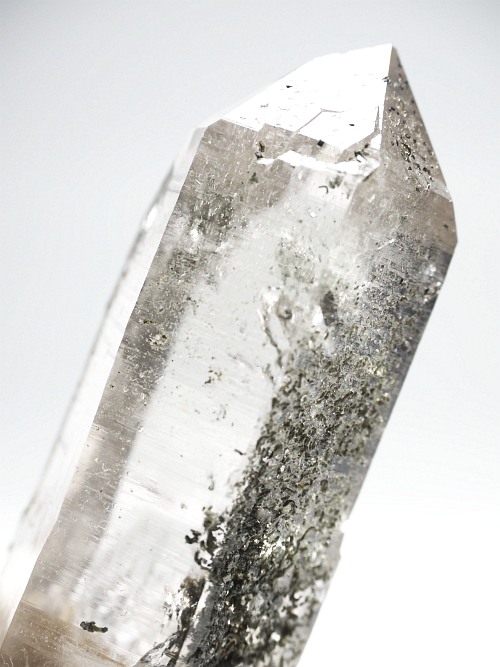 N[CginNH[cXCXAvXP 77mm 73g (30-37)