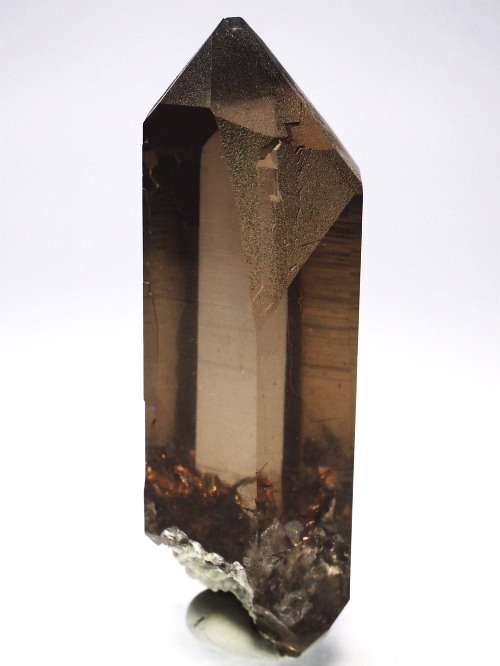 �X�C�X�A���v�X���� �X���[�L�[�N�H�[�c�P���� 77mm 81g (34-43)