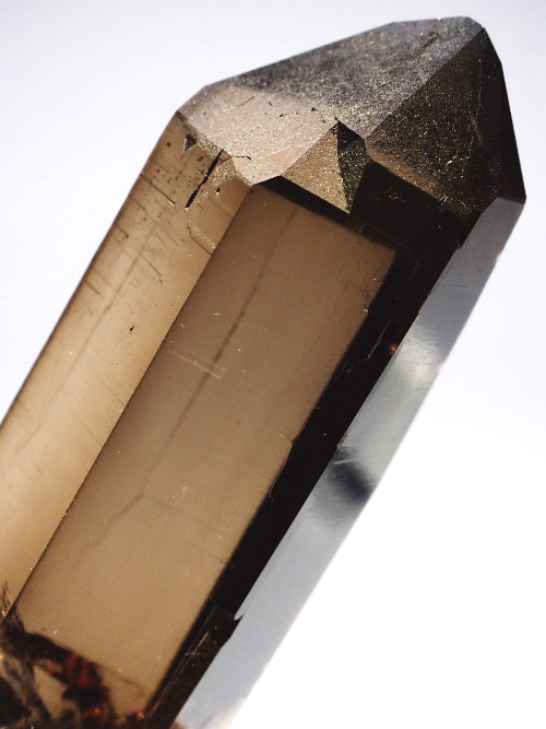 �X�C�X�A���v�X���� �X���[�L�[�N�H�[�c�P���� 77mm 81g (34-43)