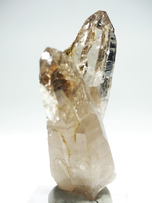 ebVnrbg^K[fNH[cXCXAvXP 72mm 82g (36-11)