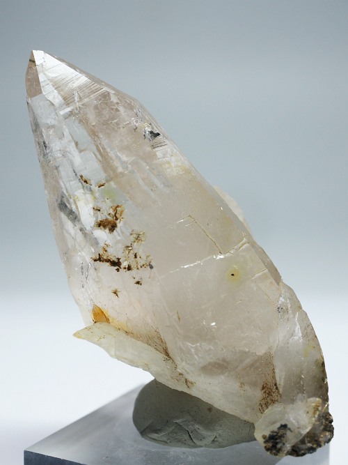 ebVnrbgXCXAvXP 83mm 88g (35-4)