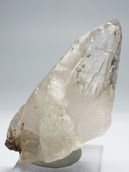 ebVnrbgXCXAvXP 83mm 88g (35-4)