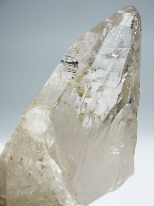 ebVnrbgXCXAvXP 83mm 88g (35-4)