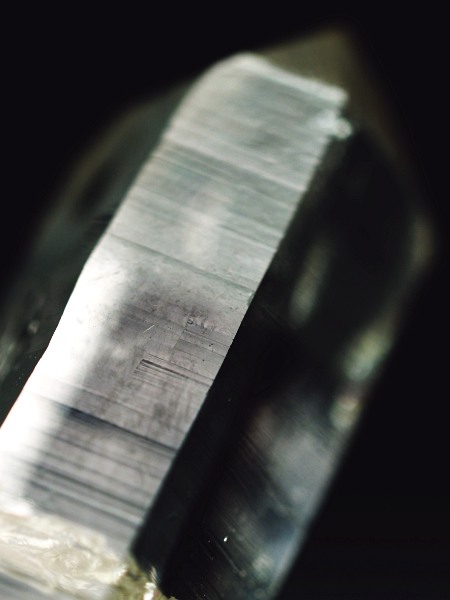 bNNX^ XCXAvXP 31mm 4.8g (37-65)