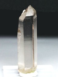 �X���[�L�[�N�H�[�c<br> �X�C�X�A���v�X�����P����<br> 40mm 7g (37-35)