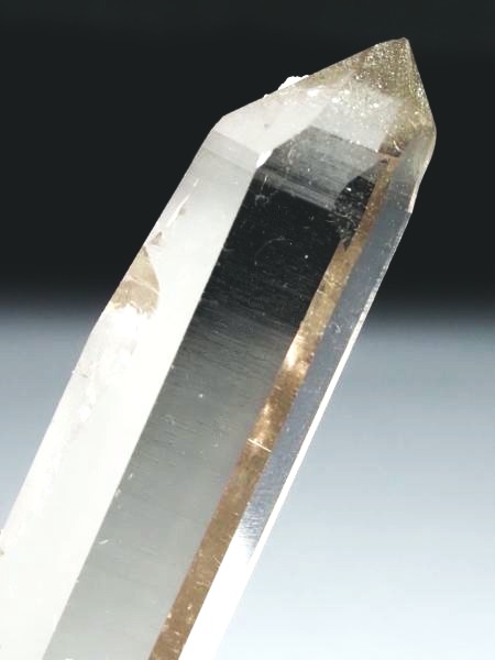 �X���[�L�[�N�H�[�c �X�C�X�A���v�X�����P���� 40mm 7g (37-35)