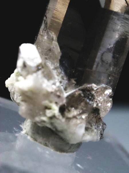 ���t���X���[�L�[�N�H�[�c �X�C�X�A���v�X�����P���� 29mm 8.6g (36-87)