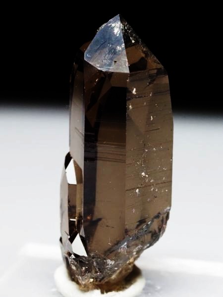 �X���[�L�[�N�H�[�c �X�C�X�A���v�X�����P���� 34mm 8.7g (37-72)