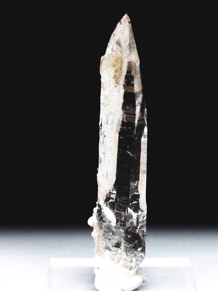 �_��t���e�b�V���n�r�b�g �X�C�X�A���v�X�����P���� 55mm 10.2g (37-47)