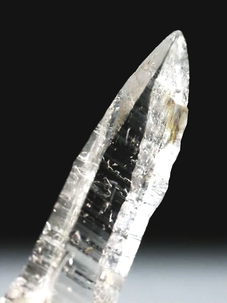 �_��t���e�b�V���n�r�b�g �X�C�X�A���v�X�����P���� 55mm 10.2g (37-47)