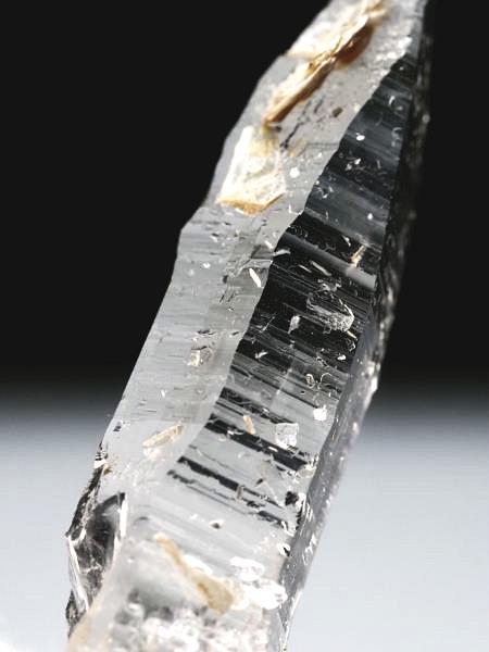 �_��t���e�b�V���n�r�b�g �X�C�X�A���v�X�����P���� 55mm 10.2g (37-47)