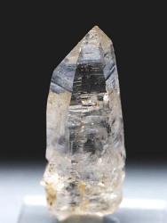 �e�b�V���n�r�b�g<br> �X�C�X�A���v�X�����P����<br> 41mm 10.8g (37-44)