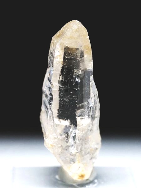 �e�b�V���n�r�b�g �X�C�X�A���v�X�����P���� 41mm 10.8g (37-44)