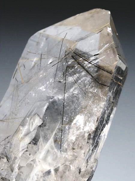 ���`�����蓧������ �X�C�X�A���v�X�����P���� 35mm 11.1g (37-98)