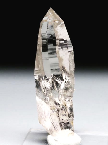 �e�b�V���n�r�b�g �X�C�X�A���v�X�����P���� 47mm 12.2g (37-40)