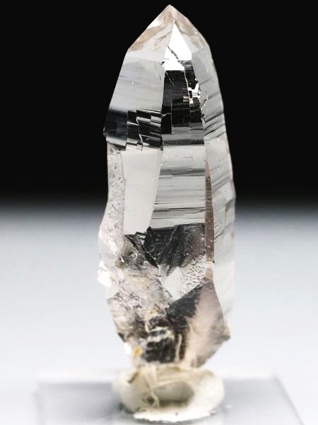 �e�b�V���n�r�b�g �X�C�X�A���v�X�����P���� 47mm 12.2g (37-40)