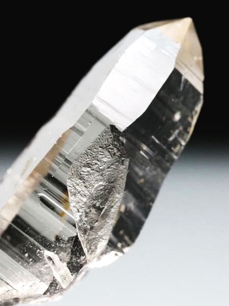 �e�b�V���n�r�b�g �X�C�X�A���v�X�����P���� 47mm 12.2g (37-40)