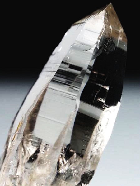 �e�b�V���n�r�b�g �X�C�X�A���v�X�����P���� 47mm 12.2g (37-40)