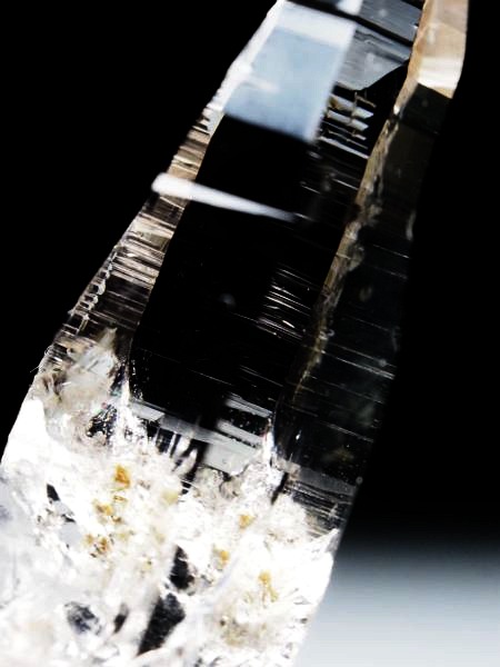 �e�b�V���n�r�b�g�E�X���[�L�[�N�H�[�c �X�C�X�A���v�X�����P���� 44mm 12.6g (34-9)